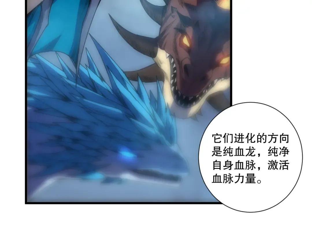 第204页