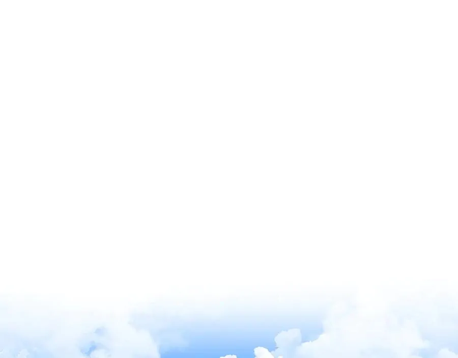 第294页