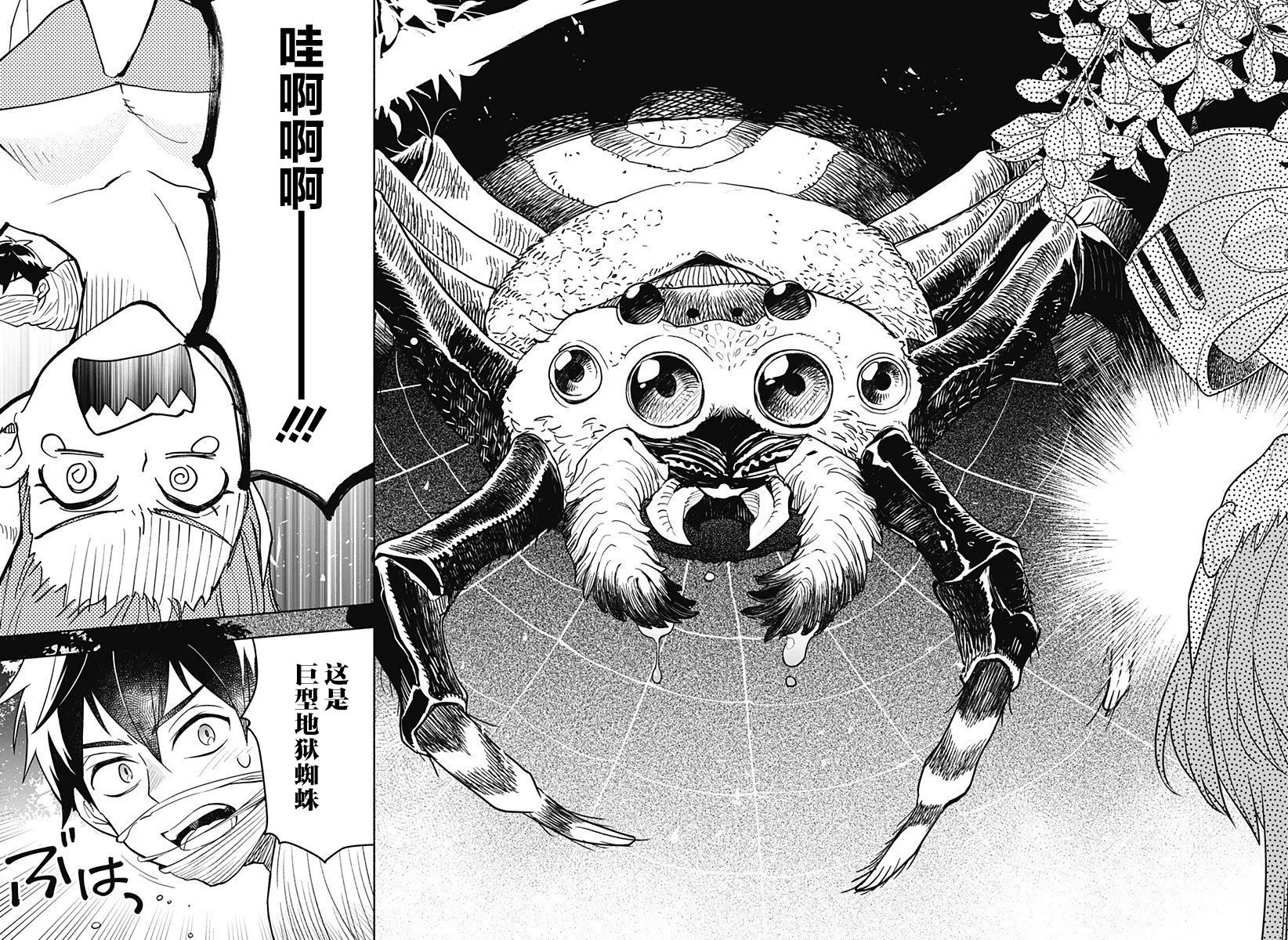 第75页
