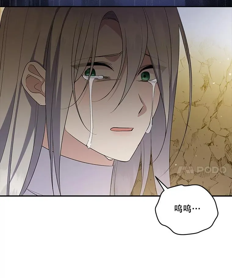 第222页
