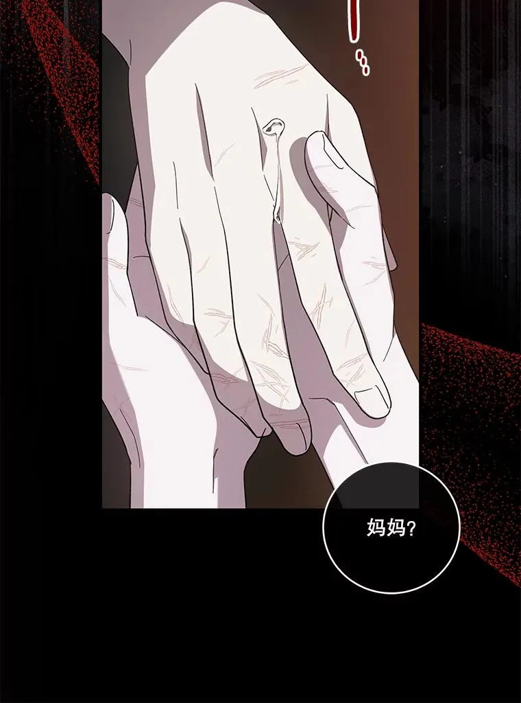 第255页