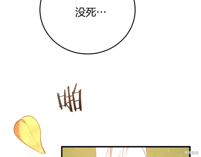 第375页