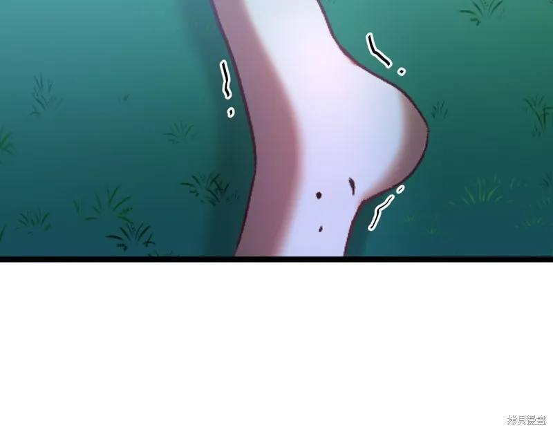 第276页