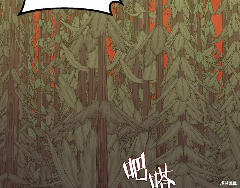 第255页