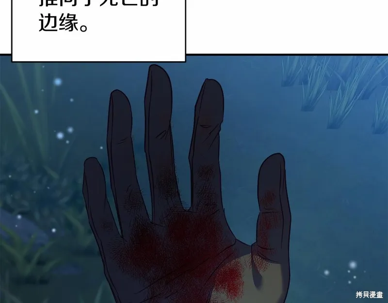 第231页