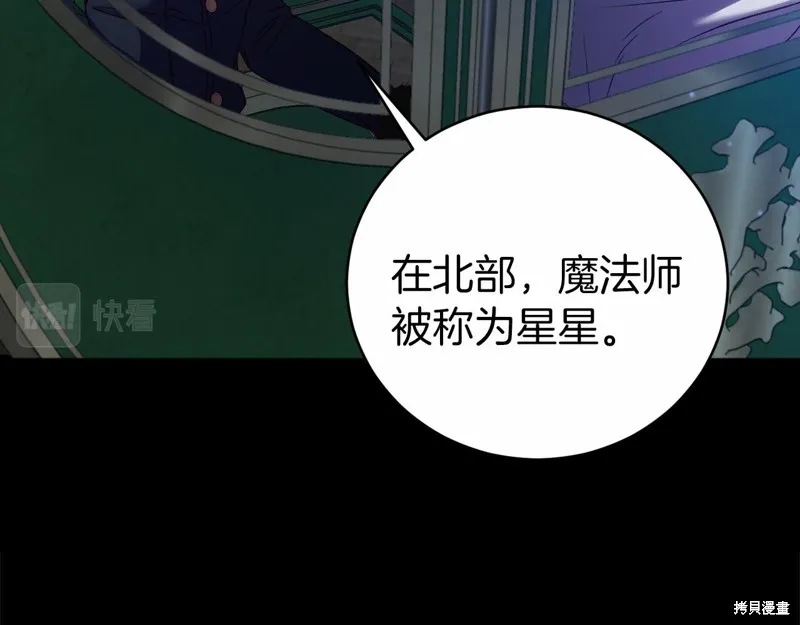 第537页