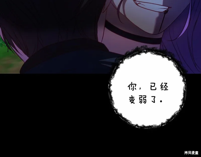 第486页