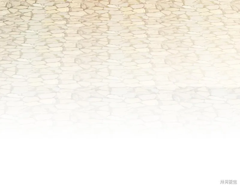 第291页