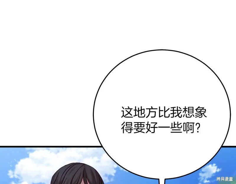 第294页