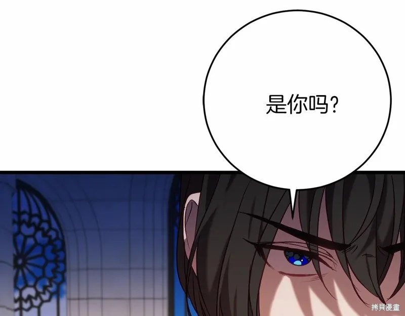 第264页