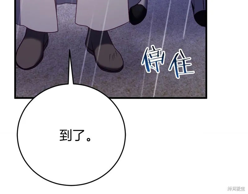 第558页