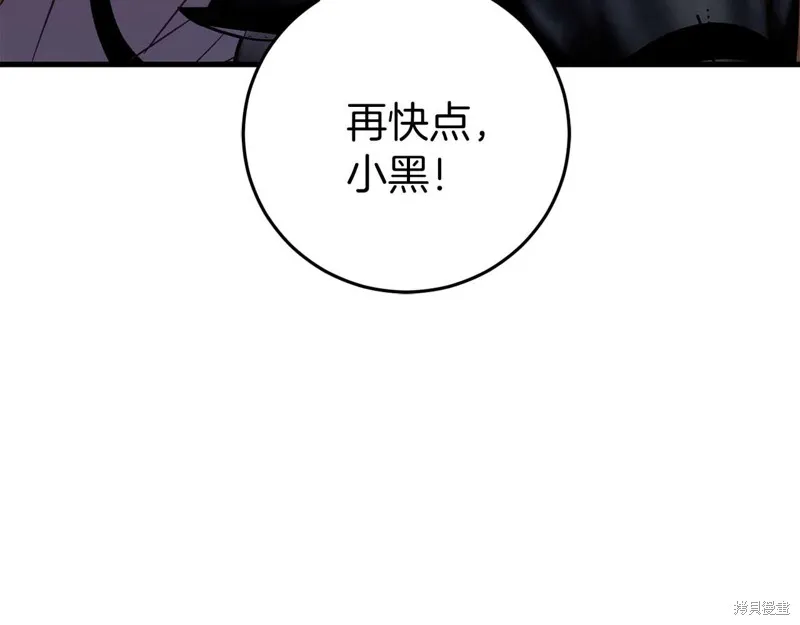 第210页