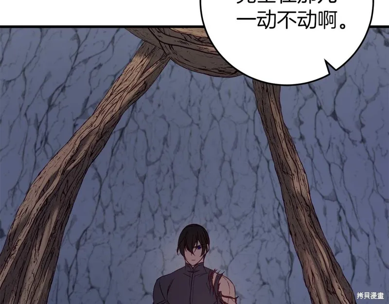 第315页