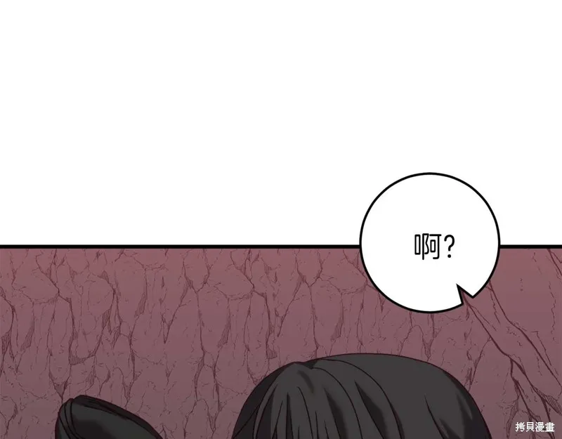 第237页