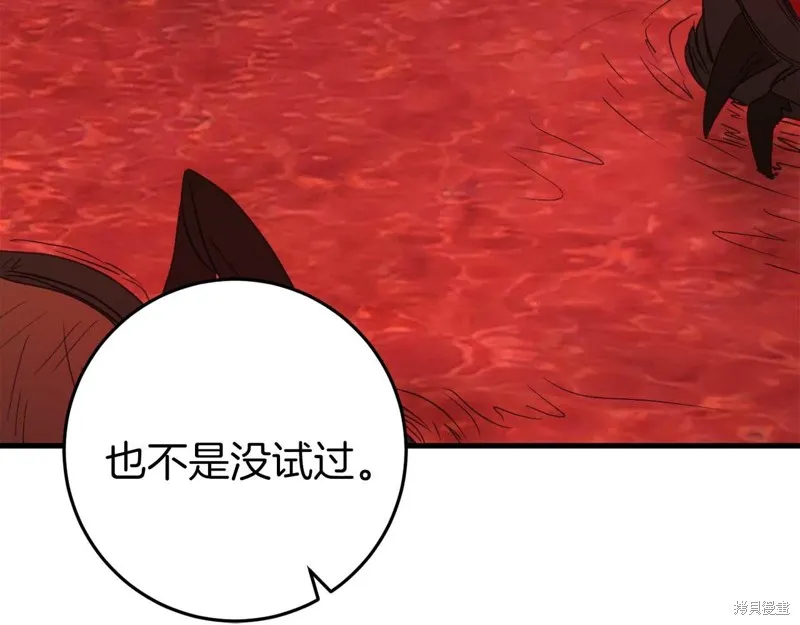 第231页