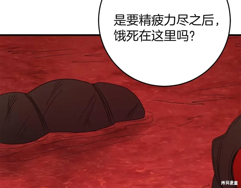 第228页