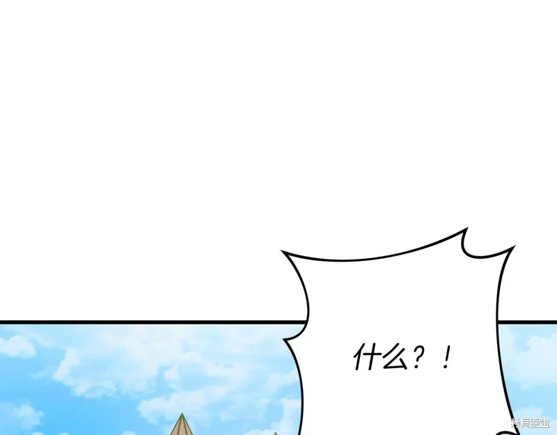 第333页