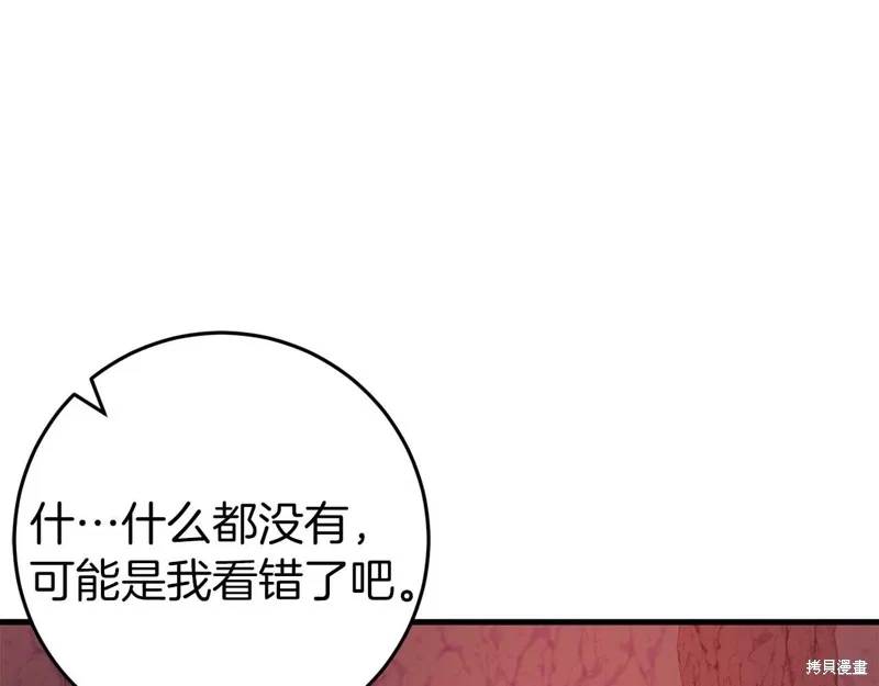 第258页