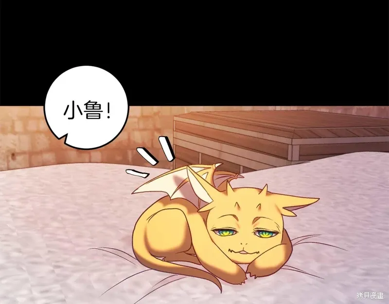 第216页