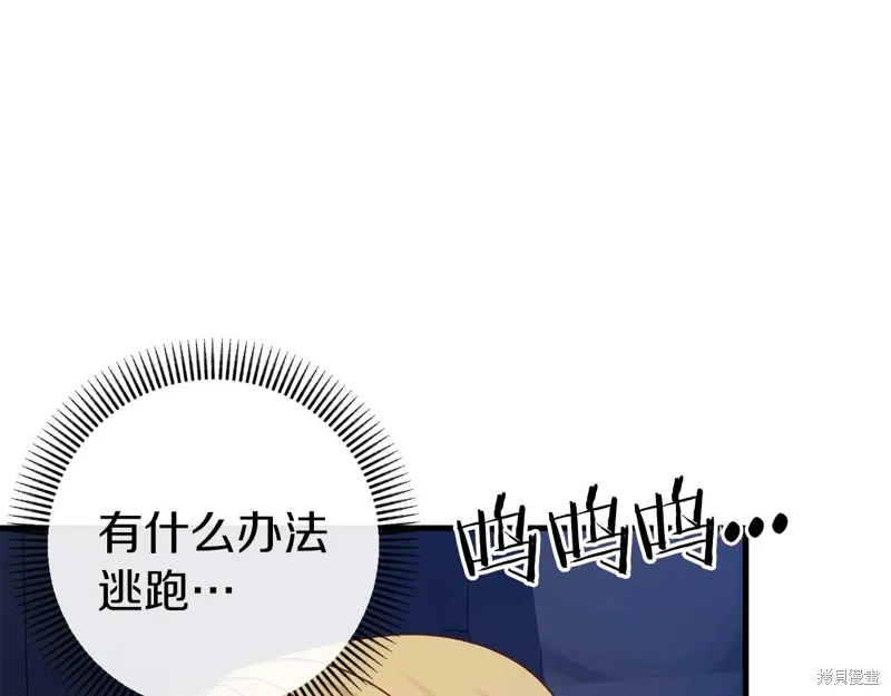 第246页