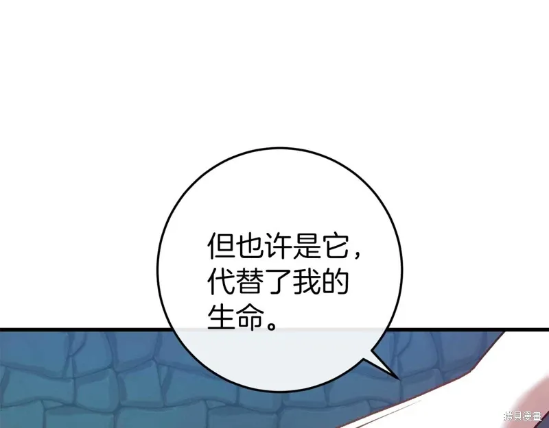 第246页