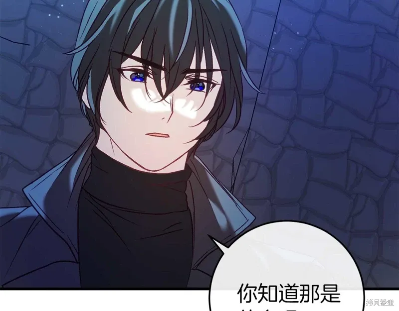 第234页