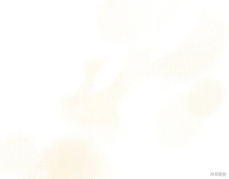 第411页