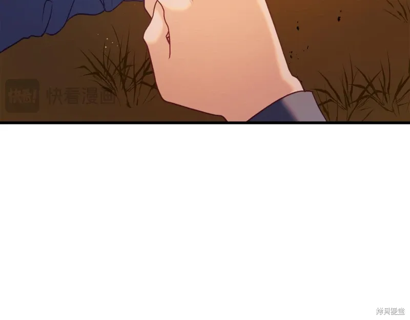 第528页