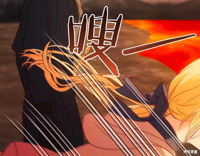 第219页