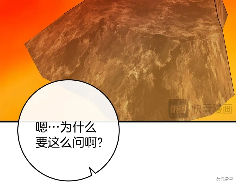 第543页