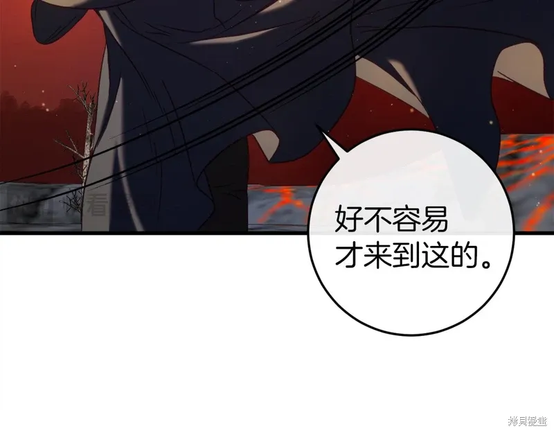 第303页