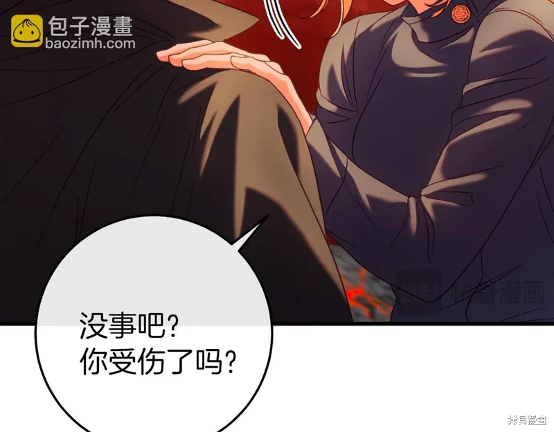 第231页