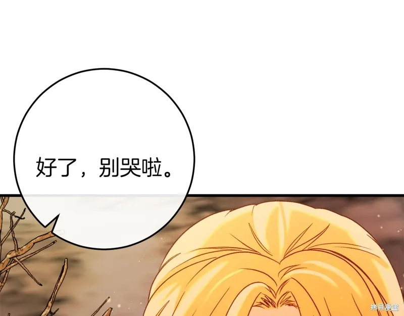 第321页