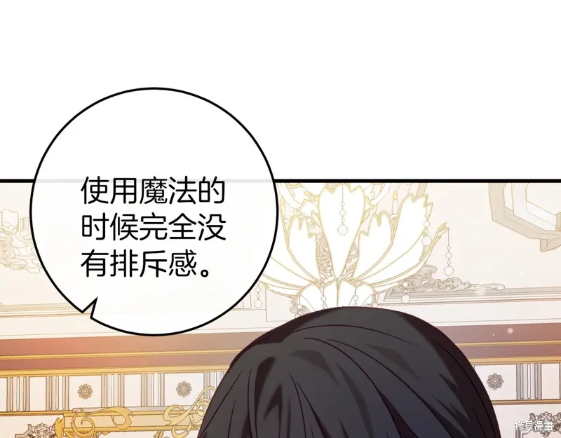 第255页