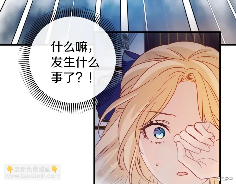 第204页
