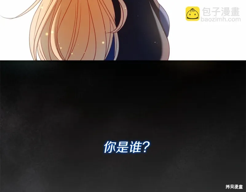 第333页