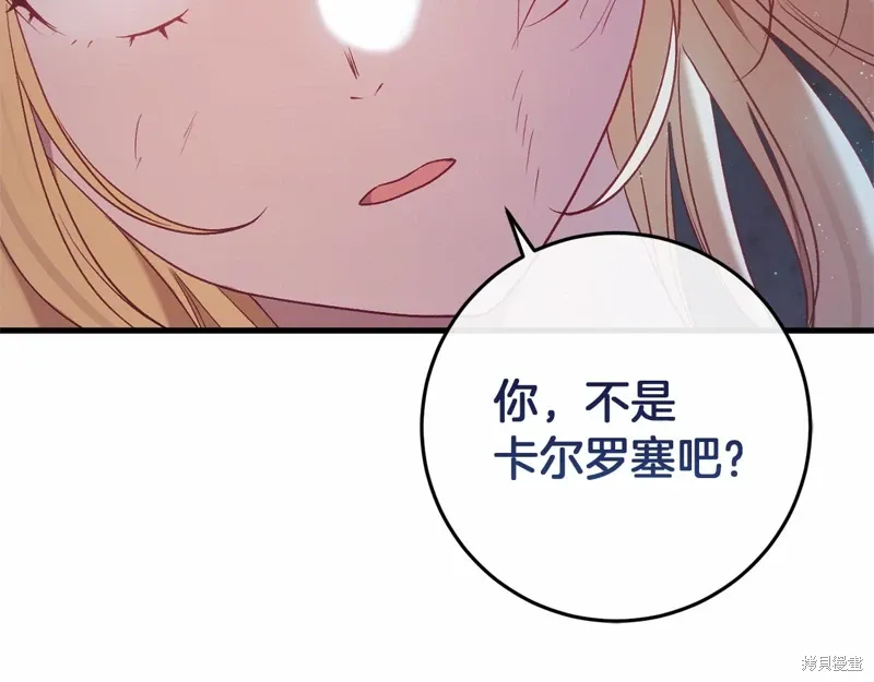 第486页