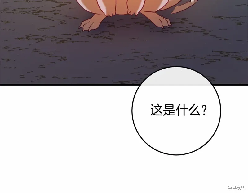 第303页