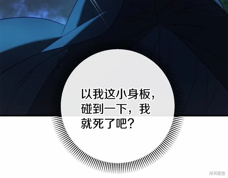 第351页