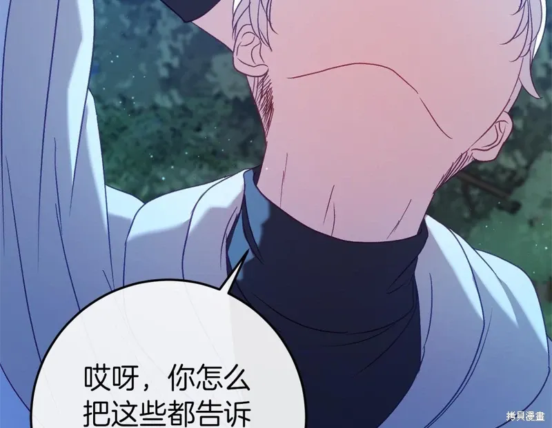 第531页