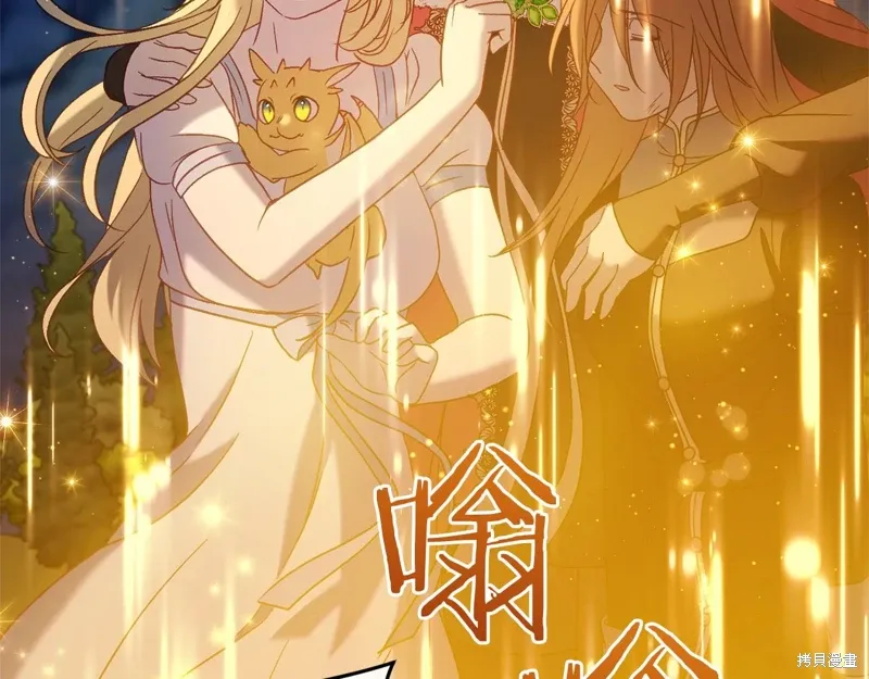 第333页