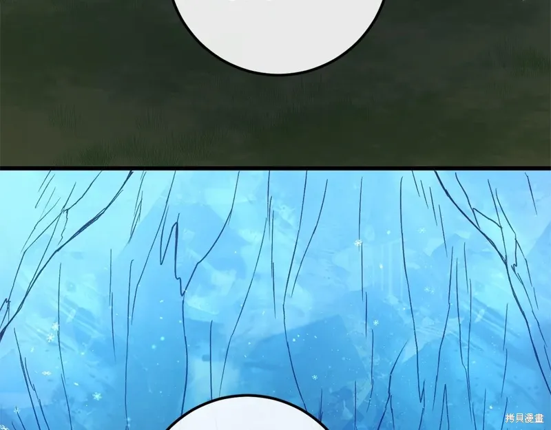 第411页