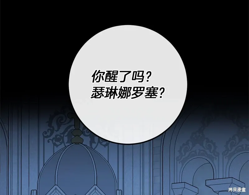 第363页