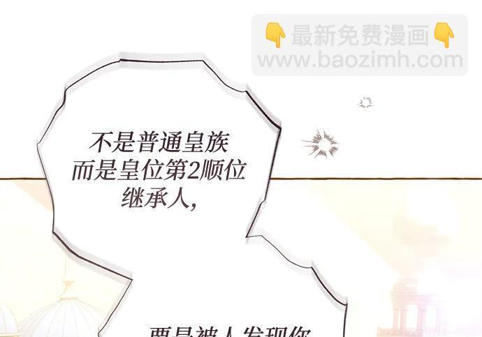 第291页