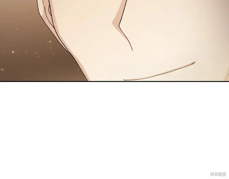 第411页