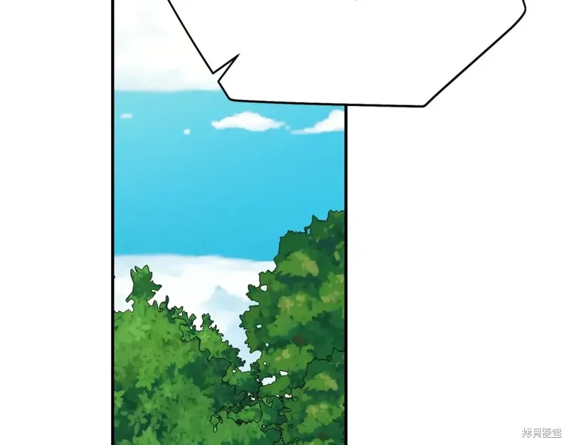 第255页
