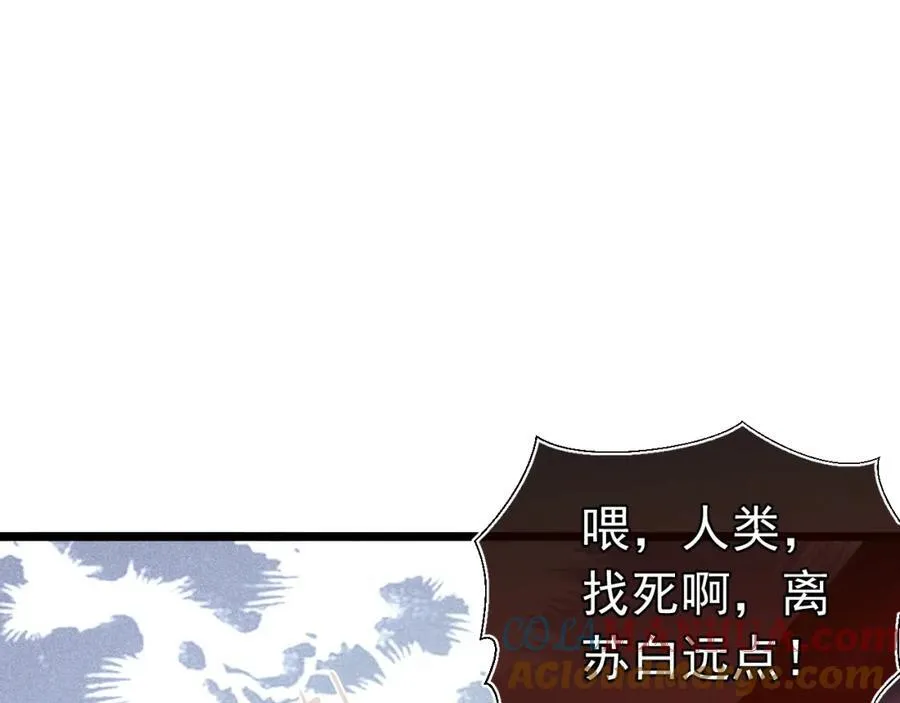 第276页