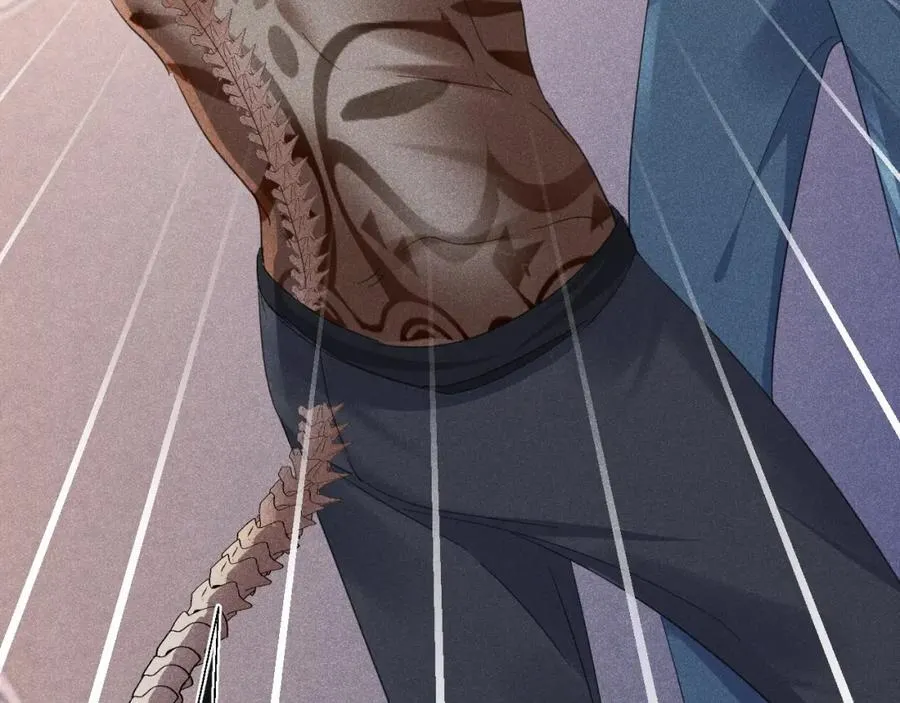 第267页