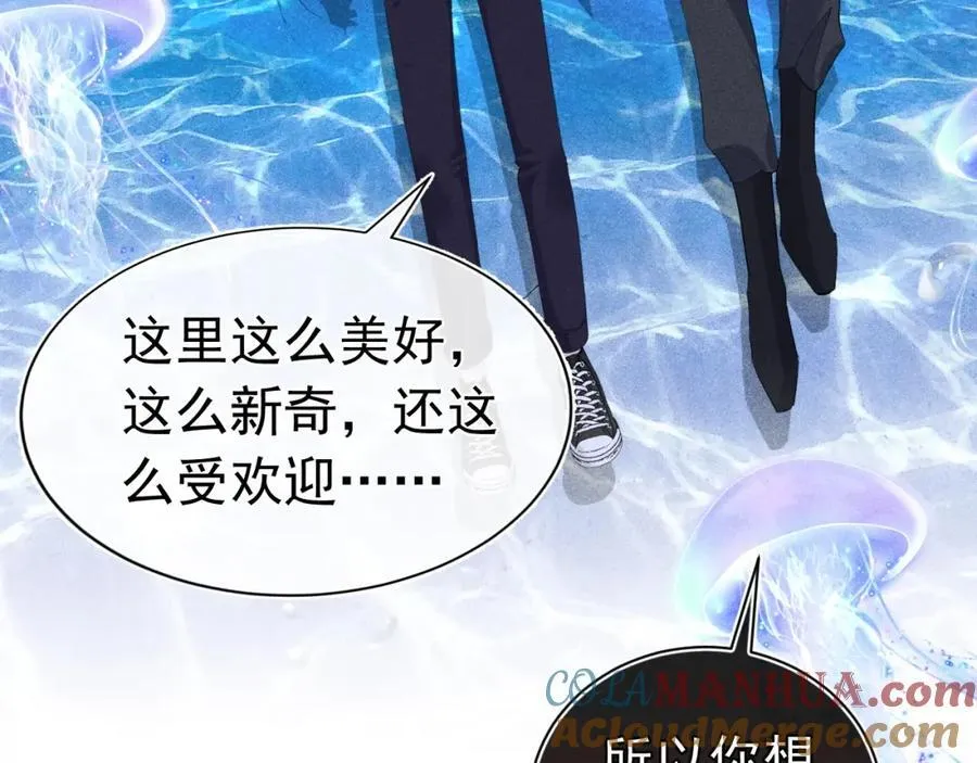 第504页