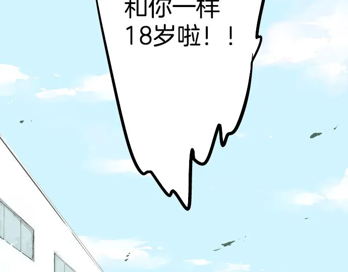 第207页